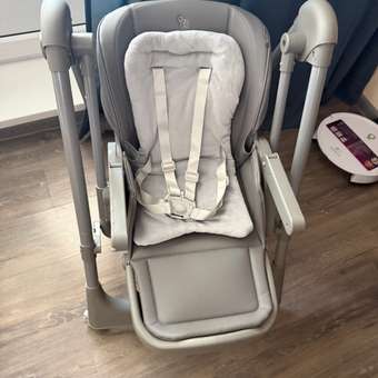 Стульчик для кормления Rant Basic Mango Pro серый: отзыв пользователя Детский Мир