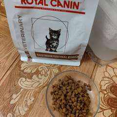 Фото отзыва 10761319