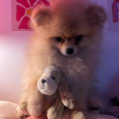 Фото отзыва 10813329