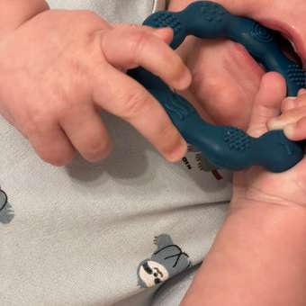 Прорезыватель Babyono кольцо/синий в ассортименте: отзыв пользователя Детский Мир