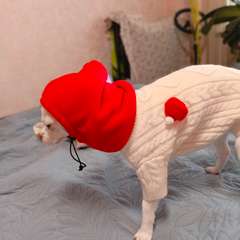 Фото отзыва 10932975