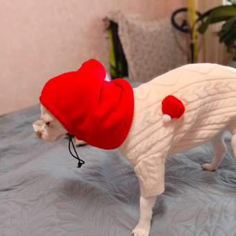 Шапка-шлем для собак и кошек Зоозавр: отзыв пользователя. Зоомагазин Зоозавр