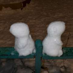 Фото отзыва 10911160