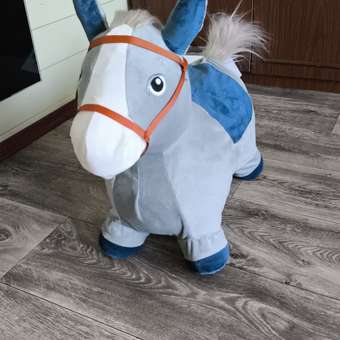 Фитбол BabyGo: отзыв пользователя Детский Мир