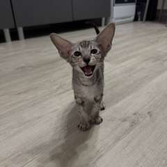 Фото отзыва 10637185