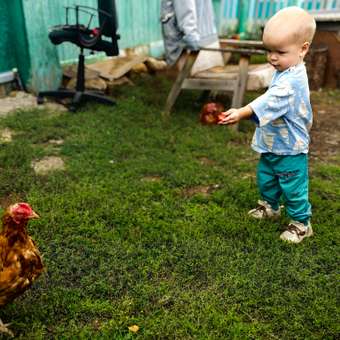Футболка Baby Gо: отзыв пользователя Детский Мир