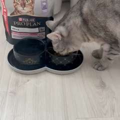 Видео отзыва 10914188