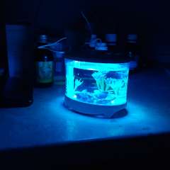 Фото отзыва 10609955