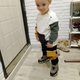 Свитшот Baby Gо: отзыв пользователя Детский Мир