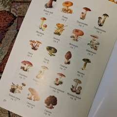 Фото отзыва 10673269