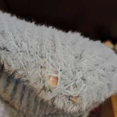 Фото отзыва 10600565