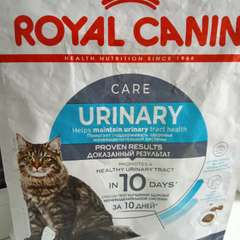 Фото отзыва 10519820