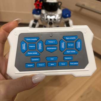 Робот РУ Mobicaro: отзыв пользователя ДетМир