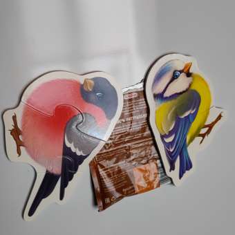 Пазл Дрофа-Медиа: отзыв пользователя Детский Мир