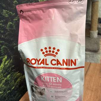 Корм сухой для котят ROYAL CANIN Kitten 2кг: отзыв пользователя. Зоомагазин Зоозавр