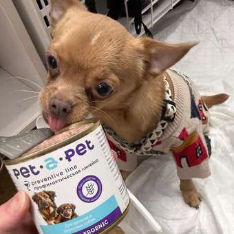 Корм для собак и щенков Pet-a-Pet 240г диетический с пищевой аллергией Hypoallergenic: отзыв пользователя. Зоомагазин Зоозавр