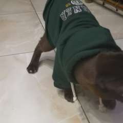 Фото отзыва 11063871