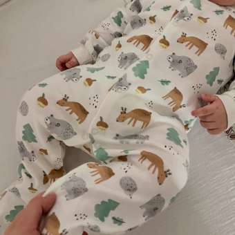 Комбинезон Моя Горошинка: отзыв пользователя ДетМир