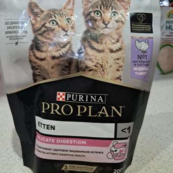 Корм сухой для котят PRO PLAN 200г с индейкой с чувствительным пищеварением: отзыв пользователя. Зоомагазин Зоозавр