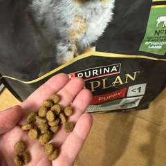 Фото отзыва 10732715