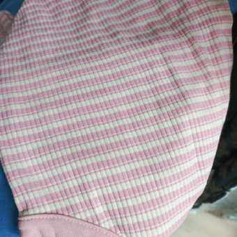 Боди 3 шт Супер Пупс: отзыв пользователя Детский Мир