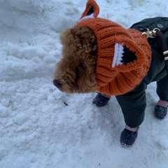 Фото отзыва 10931074