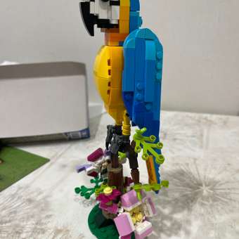 Конструктор LEGO Creator Exotic Parrot 253 дет.: отзыв пользователя ДетМир