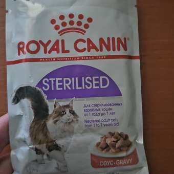 Корм для кошек ROYAL CANIN Indoor 85г для пожилых стерилизованных кошек 7+ соус пауч: отзыв пользователя. Зоомагазин Зоозавр