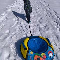 Фото отзыва 3752699