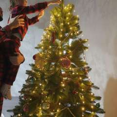 Фото отзыва 10714578