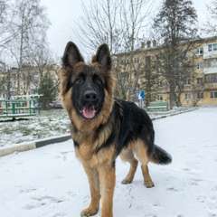 Фото отзыва 10783020