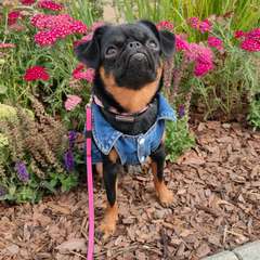 Фото отзыва 10292975