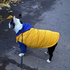 Фото отзыва 10638590