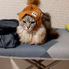 Фото отзыва 10707996