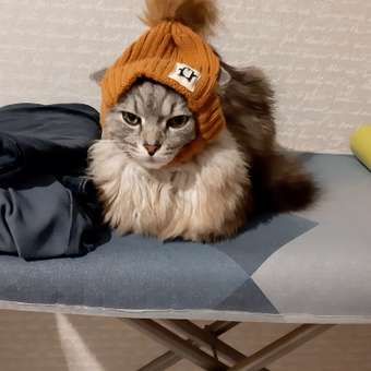 Шапка для собак и кошек Зоозавр: отзыв пользователя. Зоомагазин Зоозавр