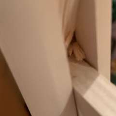 Фото отзыва 10953089