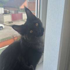 Фото отзыва 10516942