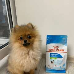 Фото отзыва 10778670