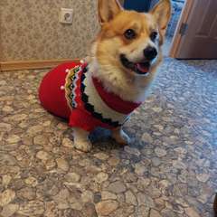 Фото отзыва 10990695