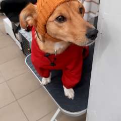 Фото отзыва 10707996