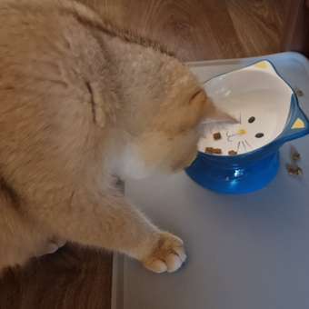 Корм сухой для котят ROYAL CANIN Kitten 2кг: отзыв пользователя. Зоомагазин Зоозавр
