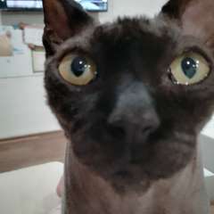 Фото отзыва 10463439