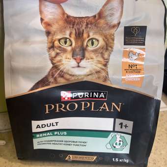 Корм сухой для кошек PRO PLAN RENAL PLUS 1.5 кг с курицей: отзыв пользователя. Зоомагазин Зоозавр