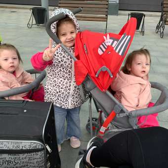 Коляска прогулочная Babyton Zoo Red: отзыв пользователя ДетМир