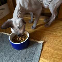 Фото отзыва 10533209