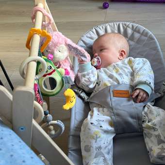 Комбинезон Рыжик: отзыв пользователя Детский Мир