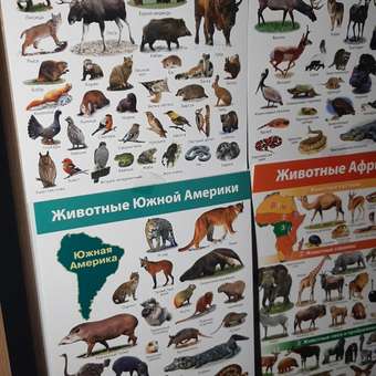 Настольная игра Дрофа-Медиа: отзыв пользователя Детский Мир