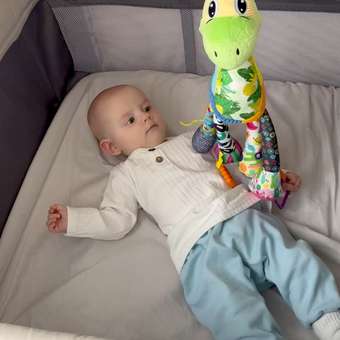 Игрушка Zeimas подвеска Монтессори Динозавр: отзыв пользователя Детский Мир