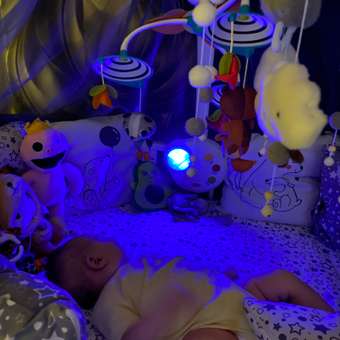 Мобиль Tiny Love Сказочный Лес: отзыв пользователя Детский Мир