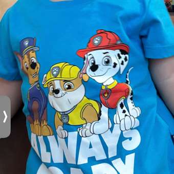 Футболка Paw Patrol: отзыв пользователя ДетМир